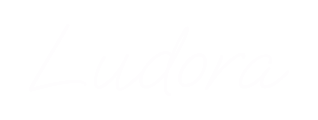 Ludora - AI consulting for small business